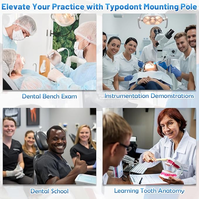 Dental Typodont Stand, Adjustable 360° Rotating Mounting Pole Teeth Model Training Stand Fixed on Desk for Simulation Practice and Educational Practice (Typodont Model is NOT Included)