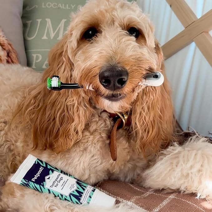 Petpost | Toothpaste for Dogs - Coconut Oil and Baking Soda Based Dental Gel That Naturally Eliminates Bad Breath - Dirt, Gunk, and Tooth Buildup Gone - Mint Flavor 4 oz.