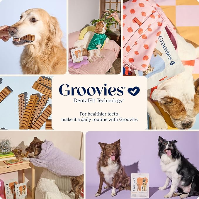 Groovies Slightly Softer, Yet Flexible Dental Chew for Senior Dogs & Delicate Chewers. Powered by USA-Patented DentalFit Tech. No Added Gluten, No Artificial Flavors or Colors. 27oz Small (96Chews)