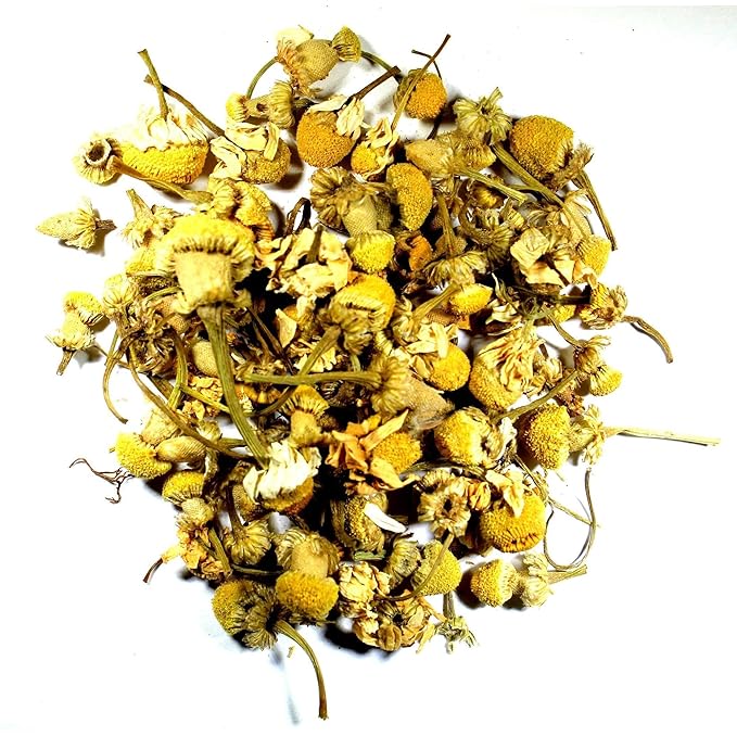 Nelson's Tea - Chamomile (Egyptian) (Matricaria recutita) - 2 oz