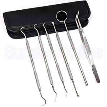 SURGICAL ONLINE Professional Dental Tools Kit, Teeth Cleaning Oral Care Kit, Tooth Pick Dental Mirror, Tartar Scraper, Dental Probe, Dental Scaler, Dental Tweezer 6 pcs with Pouch