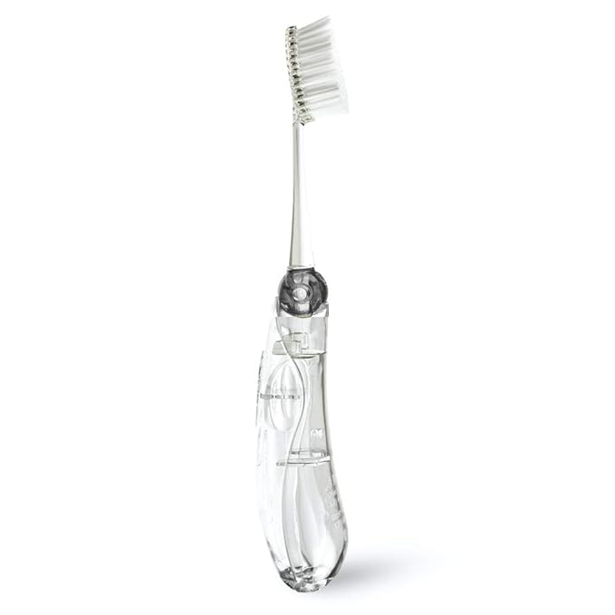 RADIUS Tour Travel Brush & Case with Replaceable Brush Head ADA Accepted Toothbrush Improve Gum Health - Smoke - Pack of 1