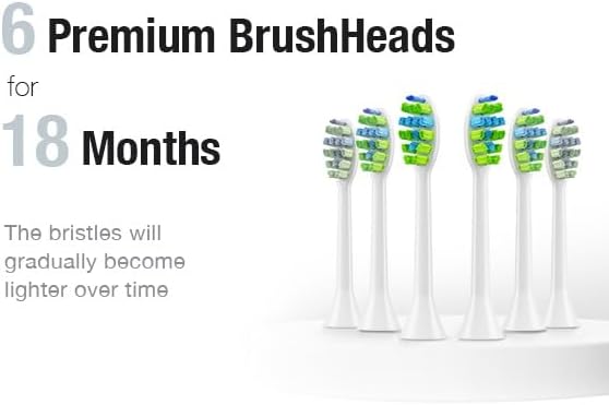 7AM2M Ultrasonic Electric Toothbrush with 6 Brush Heads for Adults&Kids, Type C Charging, One Charge for 120 Days, 5 Modes&40000VPM Powered Toothbrush, 2 Minutes Built in Smart Timer (Purple)
