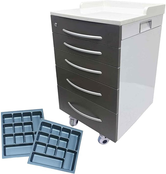 5 Drawers Dental Storage Cabinet with Dividers, Stainless Steel Cabinet Mobile Cart, Dental Mobile Cart with Wheels, for Clinics, Hospitals and Offices, Lockable