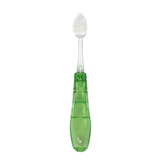 RADIUS Tour Travel Brush & Case with Replaceable Brush Head ADA Accepted Toothbrush Improve Gum Health - Green - Pack of 1
