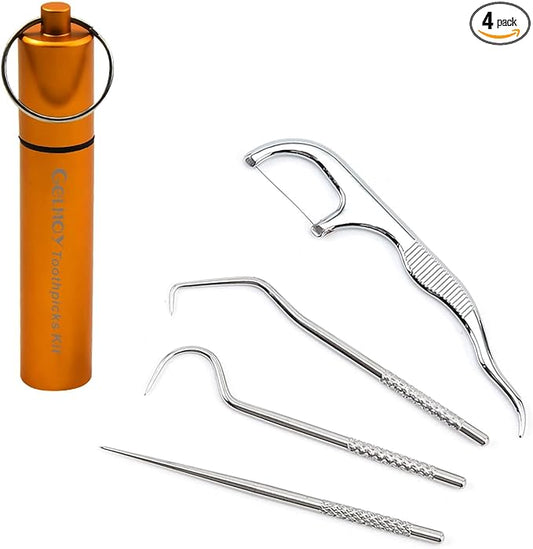 Portable Toothpicks Pocket Set, Dental Floss Picks, Reusable Flosser, Travel Tooth Picker, Flossers for Adults, Stainless Steel Teeth Cleaning Kit