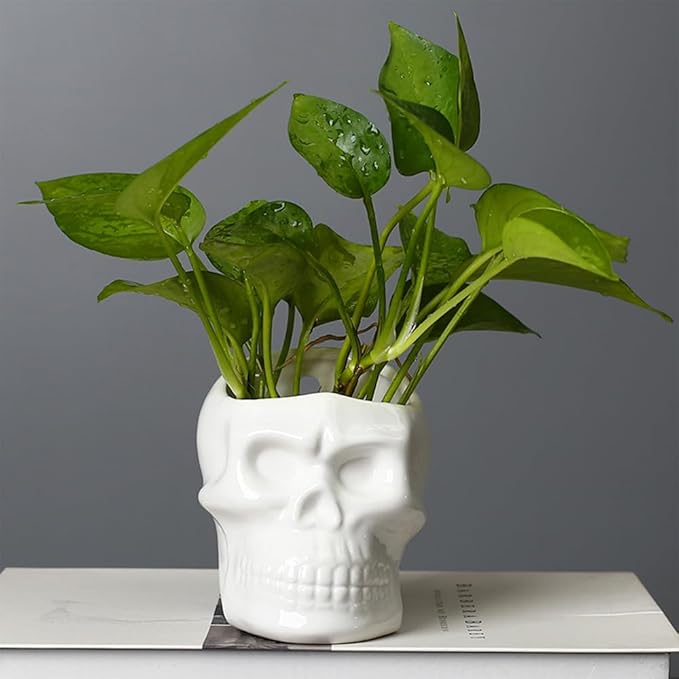Skull-Shaped Toothbrush Holder, Skull Ceramic Small Storage Tube, Skull Pen Holder, Skull Succulent Flower Pot, Creative Decoration, Wall-Mounted Small Storage Tube (White Skull)
