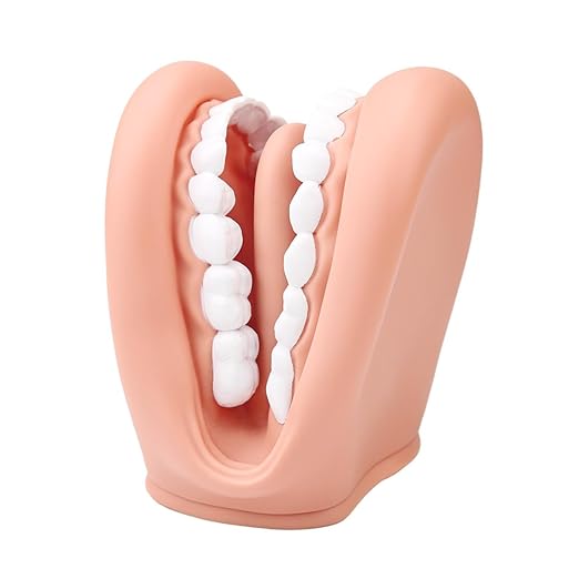 Mouth Puppet with Tongue Teeth for Speech Therapy Soft Silicone Giant Teeth Demonstration Model Brushing Oral Model（1pc Mouth Puppet+1pc Toothbrush)