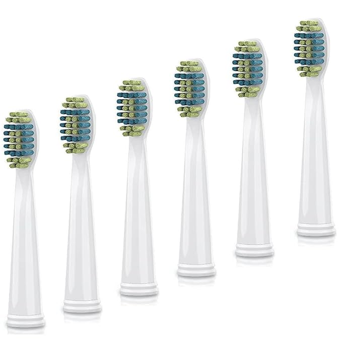 Voom Sonic Pro 5 Series Rechargeable Electronic Toothbrush + Pro 3/Pro 6-Replacement Heads - 2 Minute Timer with Quadrant Pacing, 5 Adjustable Speeds, Soft Dupont Nylon Bristles, Pink