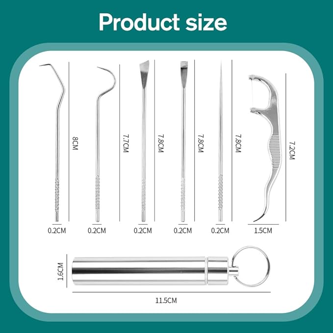 Stainless Steel Toothpick Set, Reusable Metal Toothpicks Cleaning Kit with Holder, Dental Picks Metal Dental Kit Oral Care Tools Toothpicks Pocket Set for Outdoor Picnic Camping Traveling (2 Set -A)