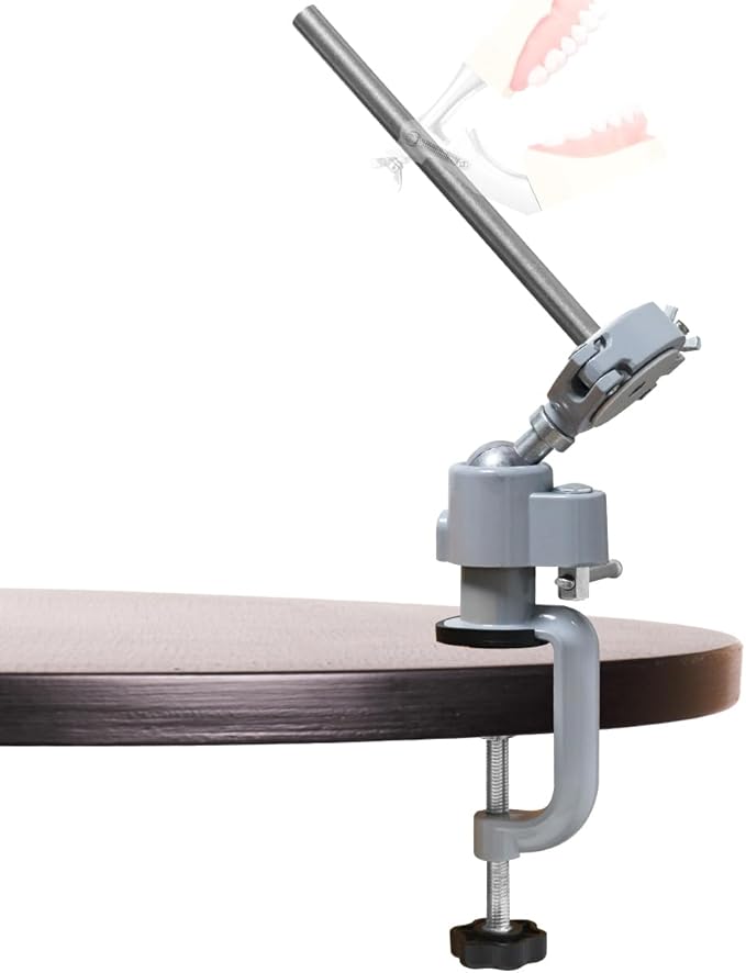‌Dental Typodont Stand, Adjustable 360° Rotating Mounting Pole Teeth Model Training Stand Fixed on Desk for Simulation Practice and Educational Practice (Typodont Model is NOT Included)