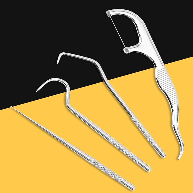 Portable Toothpicks Pocket Set, Dental Floss Picks, Reusable Flosser, Travel Tooth Picker, Flossers for Adults, Stainless Steel Teeth Cleaning Kit