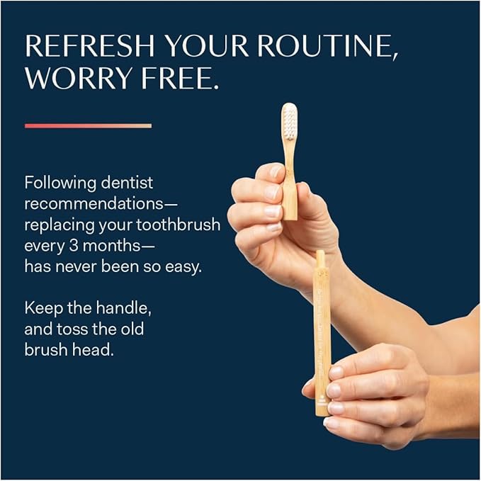 Better & Better Natural Bamboo Toothbrush | Soft Bristles | 100% Plant-Based | Reusable Handle and Replaceable Brush Head | Eco-Friendly, Zero Plastic | Adult Size (Toothbrush, Blue, White & Orange)