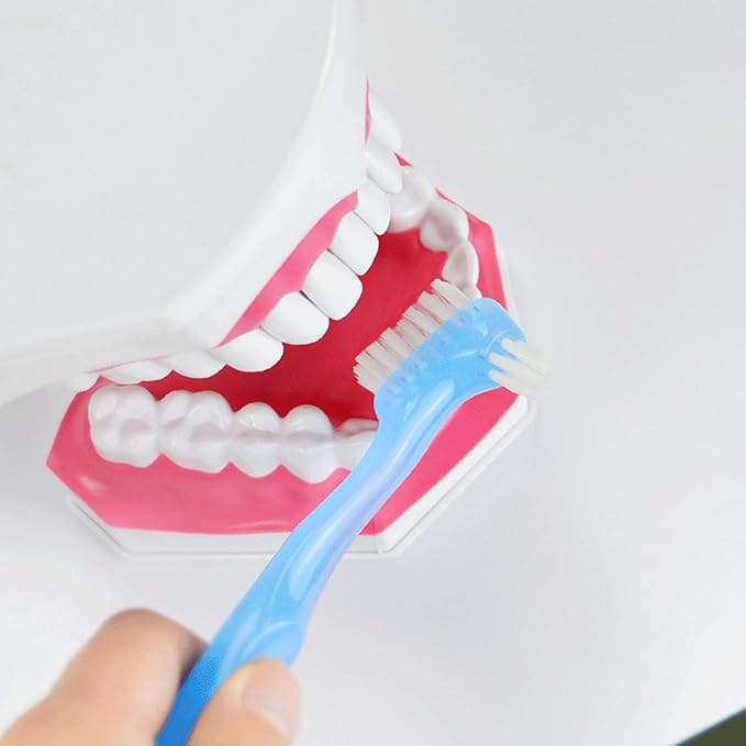 Denture Brushes 4Pcs Denture Brush, Dual Head Toothbrush with Hard Bristles, Comfortable Handle for Elderly, Easy to Use Hard Hygienic Bristle Toothbrush