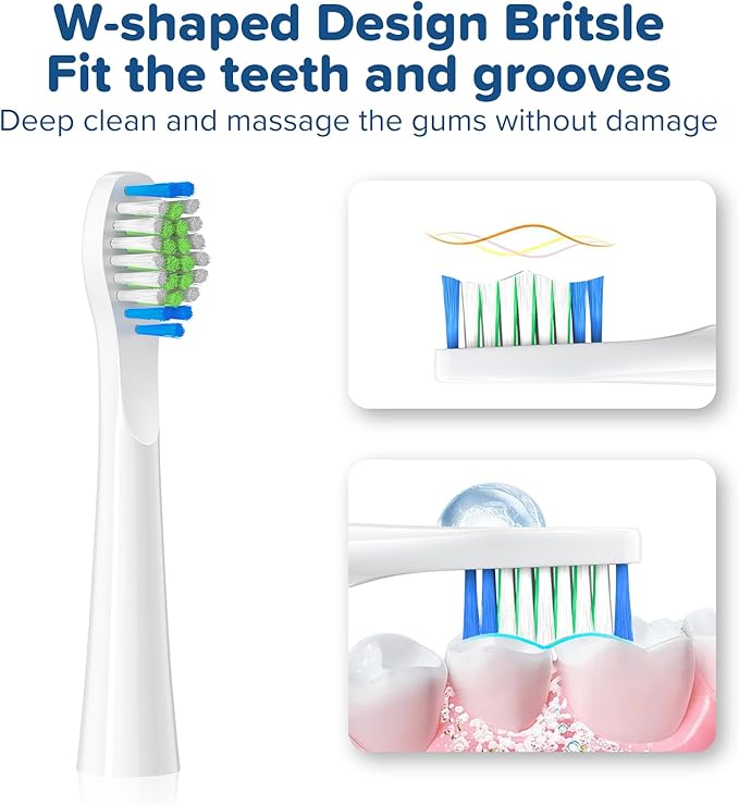 Replacement Toothbrush Heads 10 Pack Compatible with Bitvae Daily D2 Rechargeable Toothbrush, for D2 Toothbrush Heads Refills, White
