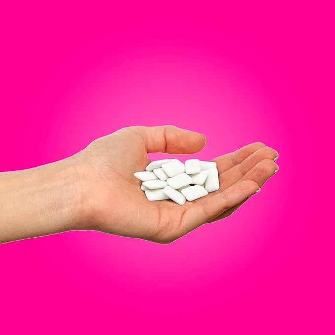 PUR Gum | Aspartame Free Chewing Gum | 100% Xylitol | Natural Pomegranate Mint Flavored Gum, 55 Pieces (Pack of 12)