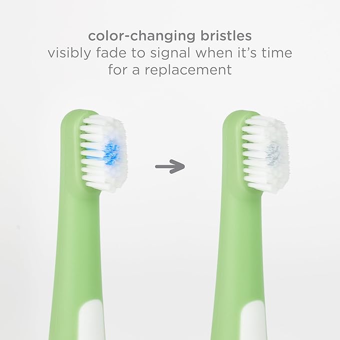 Ubbi Grow with Me Toothbrush Training Set for Babies and Toddlers, Includes One 360° Food-Grade Platinum Silicone and One Soft Bristled Toothbrush, Smoothie Purple and Zest Green