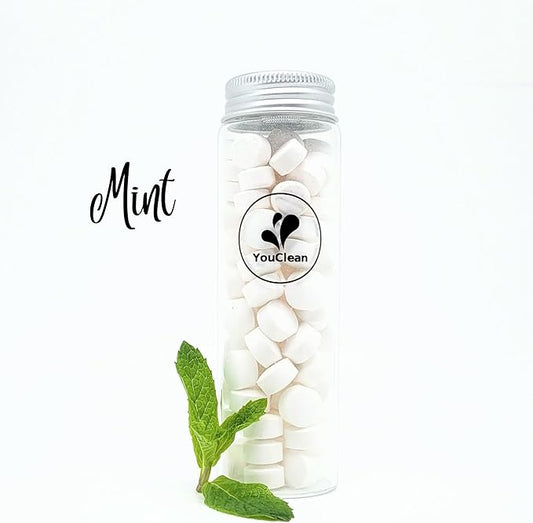 90 toothpaste tablets in Refill/Recycle Glass Tube - For Travel and Daily Home Office Use - Nano Hydroxyapatite, Fluoride-Free, Vegan (Mint)