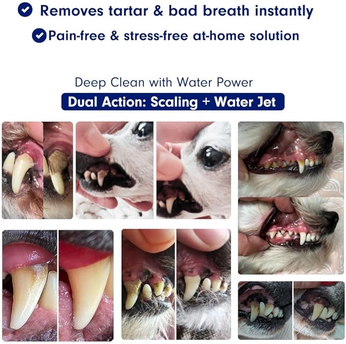 Canivet Silent Sonic Dog Dental Cleaner – Rechargeable Plaque & Tartar Remover Kit