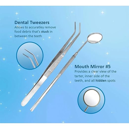 SURGICAL ONLINE Professional Dental Tools Kit, Teeth Cleaning Oral Care Kit, Tooth Pick Dental Mirror, Tartar Scraper, Dental Probe, Dental Scaler, Dental Tweezer 6 pcs with Pouch