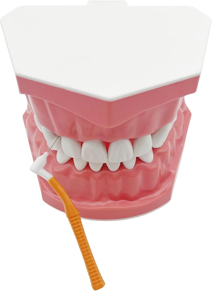 Interproximal Brush, Gum Interdental Brushes, L Angle Reusable Dental Cleaners, Disposable Oral Hygiene Brush, Toothpick Floss for Braces, Tooth Cleaning Tool (1.2mm Orange, Normal)