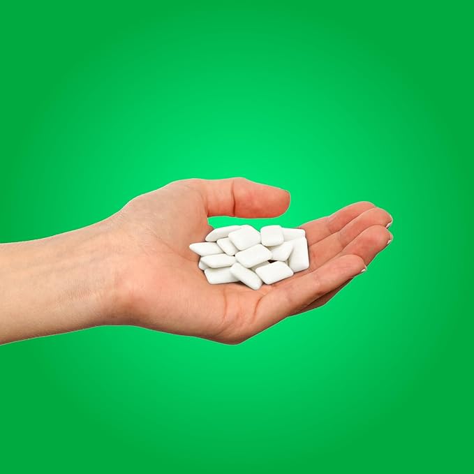 PUR Gum | Aspartame Free Chewing Gum | 100% Xylitol | Natural Spearmint Flavored Gum, 55 Pieces (Pack of 12)
