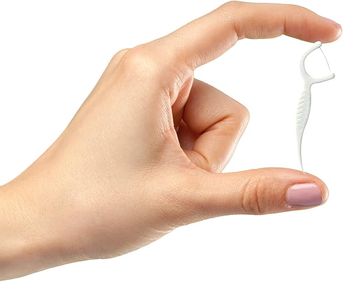 High Toughness Professional Toothpicks Sticks Dental Floss Picks 100 Picks Threader Flosser with 10 Storage Cases, flossing for Family,Hotel,Travel