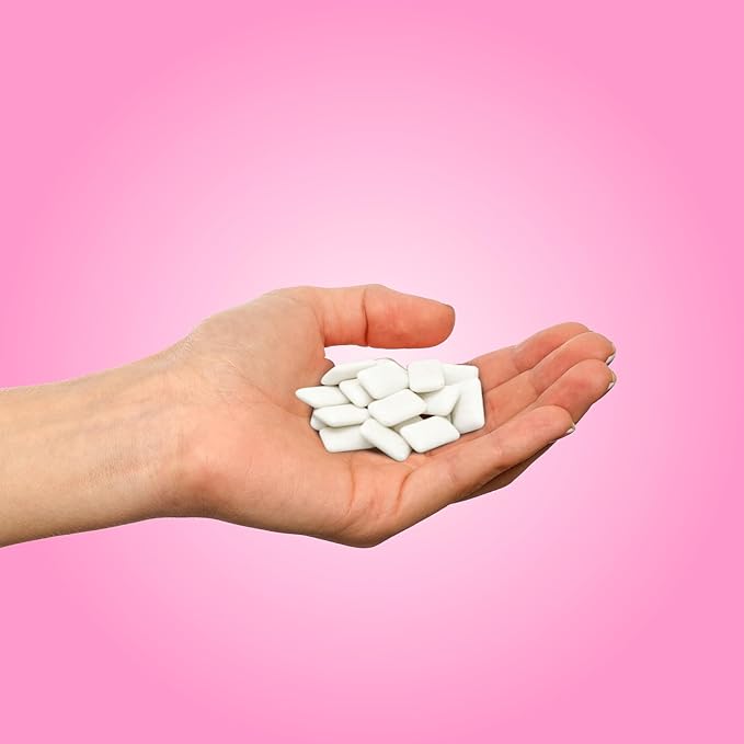 PUR Gum | Aspartame Free Chewing Gum | 100% Xylitol | Natural Bubblegum Flavored Gum, 55 Pieces (Pack of 12)
