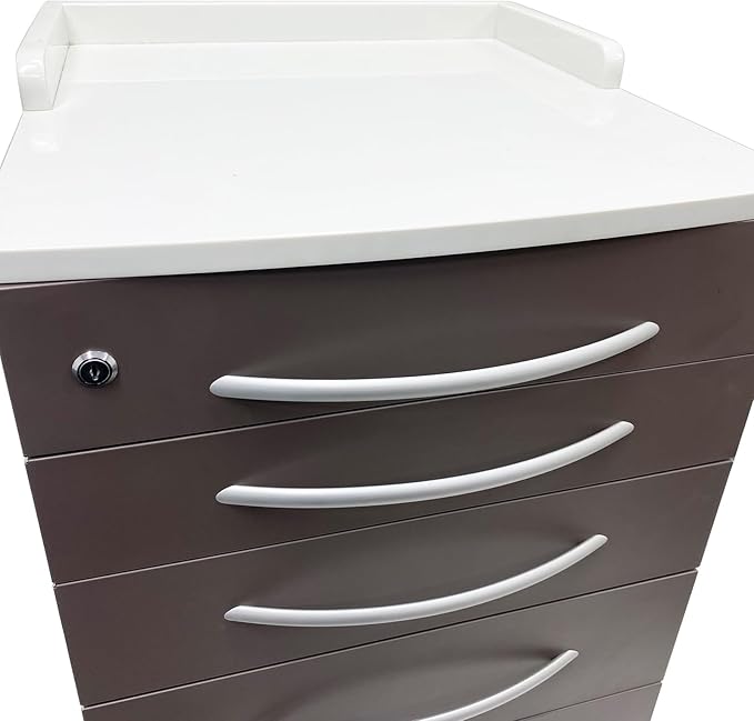 5 Drawers Dental Storage Cabinet with Dividers, Stainless Steel Cabinet Mobile Cart, Dental Mobile Cart with Wheels, for Clinics, Hospitals and Offices, Lockable