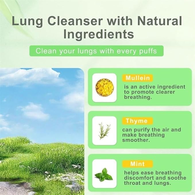 Mullein Diffuser Pen Upgraded with Extracts of Mullein, Thyme and Mint for Cleansing Lungs, Improving Breathing and Oral Air Freshening 600 Uses, 1 Stick, 1 Pack