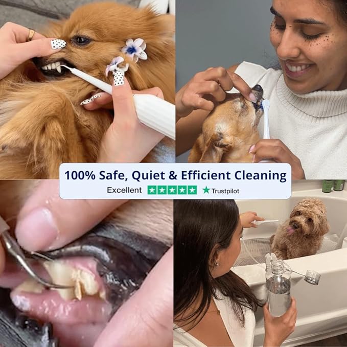 Canivet Silent Sonic Dog Dental Cleaner – Rechargeable Plaque & Tartar Remover Kit