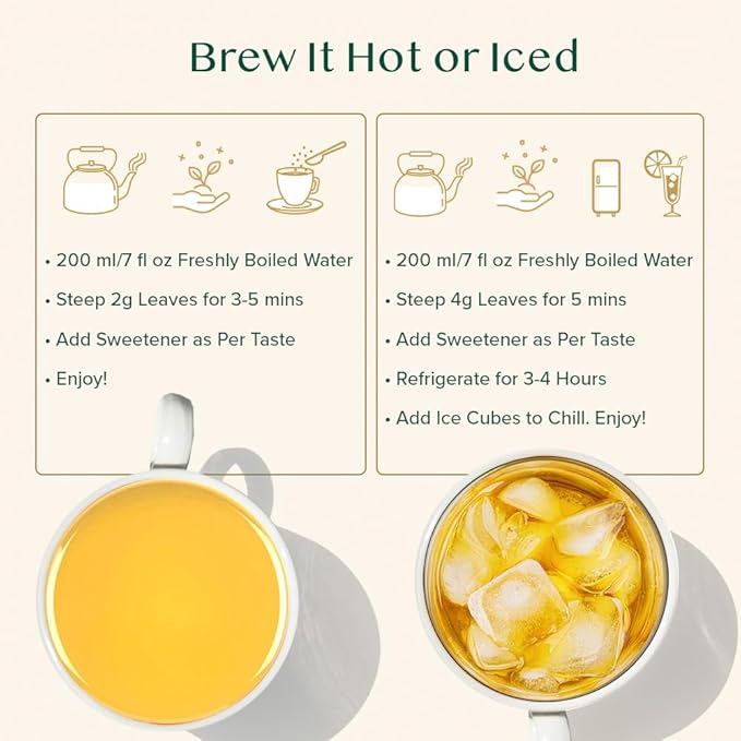 VAHDAM, Citrus Ginger Herbal Tea Tisane (50 Cups, 3.53 oz) Gluten Free, Non GMO | Ginger, Lemongrass, Orange Peels, Mint | Herbal Tea Loose Leaf | Vacuum Sealed Pack