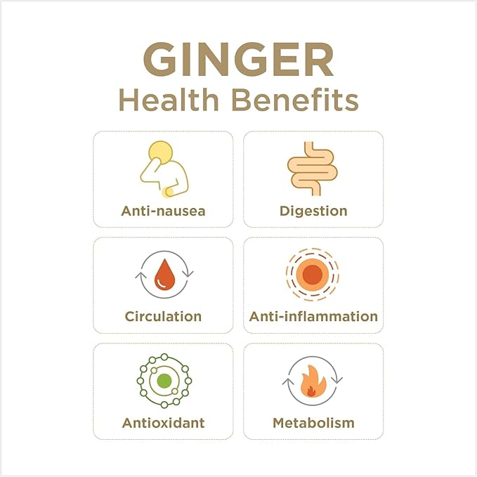 The Ginger People Ginger Rescue Chewable Tablets Drug Free Digestive Health, Strong Ginger Flavor, 0.55 Oz, 240 Tablets, (Pack of 10)