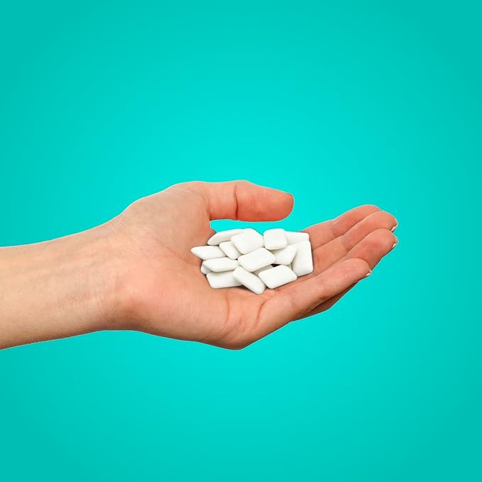 PUR Gum | Aspartame Free Chewing Gum | 100% Xylitol | Natural Wintergreen Flavored Gum, 55 Pieces (Pack of 6)