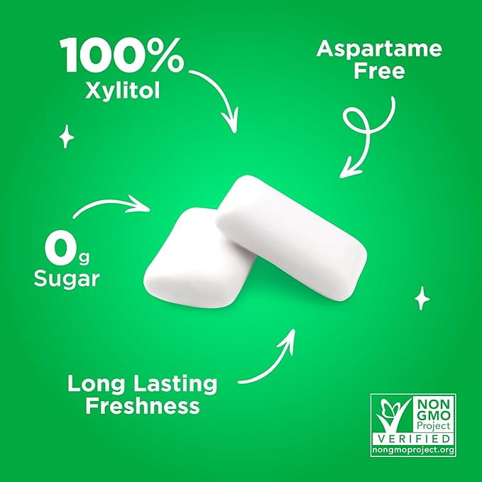 PUR Gum | Aspartame Free Chewing Gum | 100% Xylitol | Natural Spearmint Flavored Gum, 55 Pieces (Pack of 3)