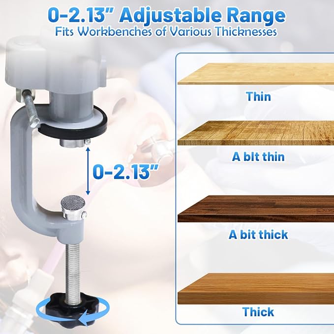 ‌Dental Typodont Stand, Adjustable 360° Rotating Mounting Pole Teeth Model Training Stand Fixed on Desk for Simulation Practice and Educational Practice (Typodont Model is NOT Included)