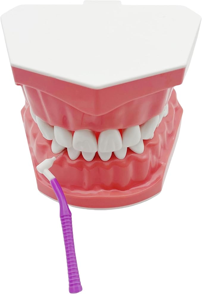 Interproximal Brush, Gum Interdental Brushes, L Angle Reusable Dental Cleaners Brushes,Disposable Oral Dental Hygiene Brush,Dental Toothpick Floss for Braces,Tooth Cleaning Tool (0.7mmPurple, Normal)