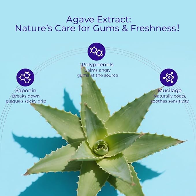 Agave Sensitive Toothpaste, Fluoride-Free Natural Whitening Toothpaste for Sensitive Teeth, Gentle Gum Care, Helps Remove Stains, Fresh Mint Herbal Formula, 2 Pk US Manufactured