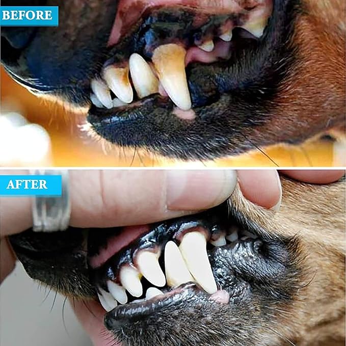 8 Pcs Dog Tartar Remover Pet Teeth Cleaning Tool, Cat Plaque Off Calculus Remover, Dog Tooth Scaler and Scraper, Stainless Steel Dental Forceps for Dogs and Cats Oral Care