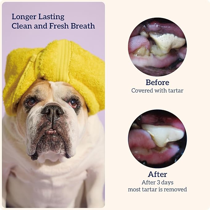 Groovies Slightly Softer, Yet Flexible Dental Chew for Senior Dogs & Delicate Chewers. Powered by USA-Patented DentalFit Tech. No Added Gluten, No Artificial Flavors or Colors. 12oz Small (43Chews)