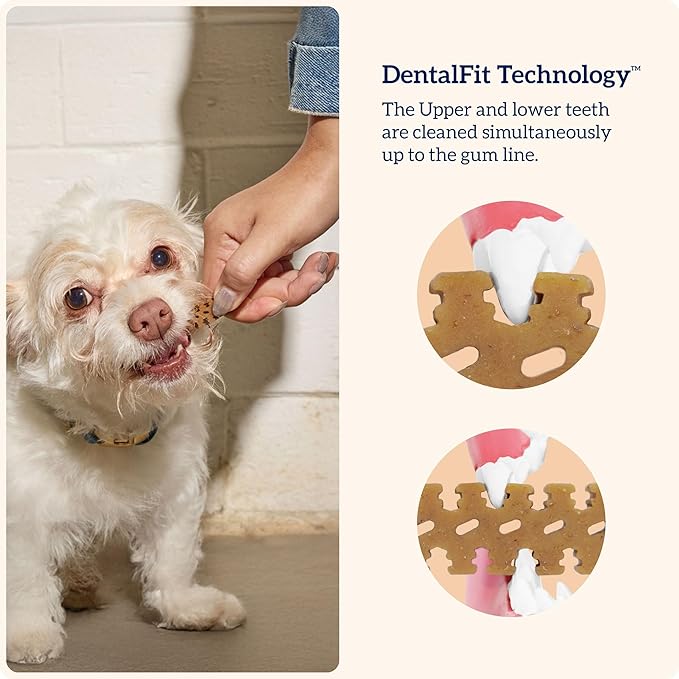 Groovies Slightly Softer, Yet Flexible Dental Chew for Senior Dogs & Delicate Chewers. Powered by USA-Patented DentalFit Tech. No Added Gluten, No Artificial Flavors or Colors. 12oz XLarge (8Chews)