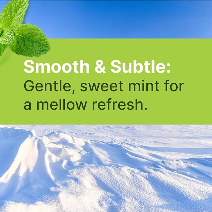 Spearmint KETO Xylitol Candy Chips - SNØ 1.5oz Tin - Sugar-Free Candy With Only 2 Ingredients | Low Carbs, Diabetic-Friendly, Non-GMO, Vegan, GF & Kosher | Purest candy in the world!