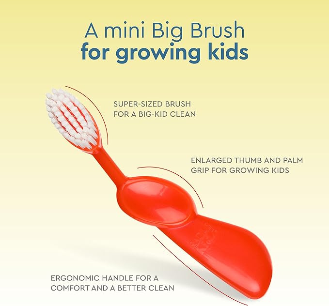 RADIUS Kidz Toothbrush Children's Right Hand BPA Free ADA Accepted Designed to Clean Teeth & Gums for Children 6 Years & Up - Assorted Colors - Pack of 6