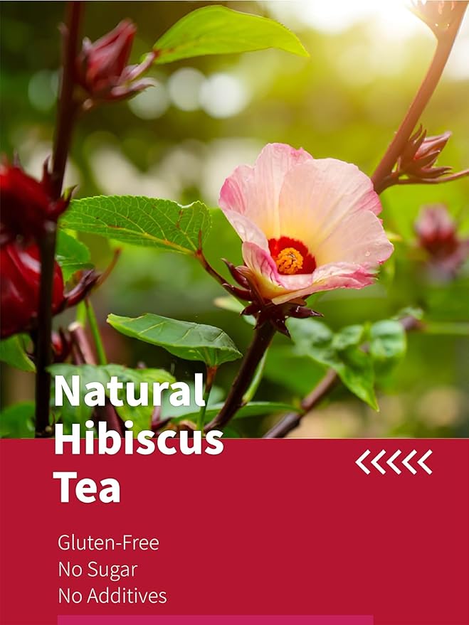 HYNTMYT Hibiscus Tea Bags, Premium Hibiscus Flowers Tea, Bright & Tart Flavor, Caffeine Free, 120 Count