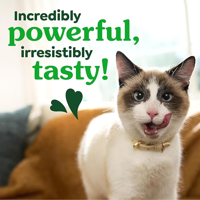 Greenies Feline Veterinarian-Recommended Adult Natural Dental Cat Treats, Oven Roasted Chicken Flavor, 2.1 oz. Pouch