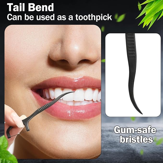 Maxcheck 2000 Count Floss Picks Bulk Natural Dental Floss Picks Toothpicks Sticks High Pull Tooth Flosser Sustainable for Teeth(Black)