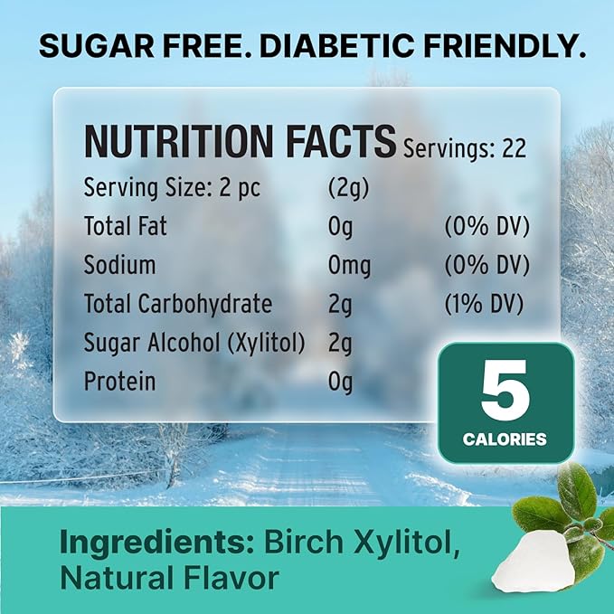 Wintergreen Xylitol Candy Chips - SNØ 1LB Bag - Handcrafted w/ONLY 2 Ingredients | Diabetic-friendly, Non-GMO, Vegan, Keto, GF & Kosher | Purest sugar-free candy in the world!