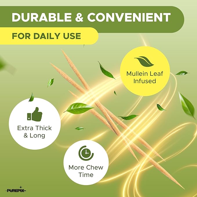 Mullein Pix, Extra Thick Flavored Toothpicks Infused with Mullein Leaf, Natural Quit Smoking Alternative, Lung Cleanse Support, Nicotine Free, Kosher Vegan, Made in The USA (Wintergreen Frost 3 Pack)