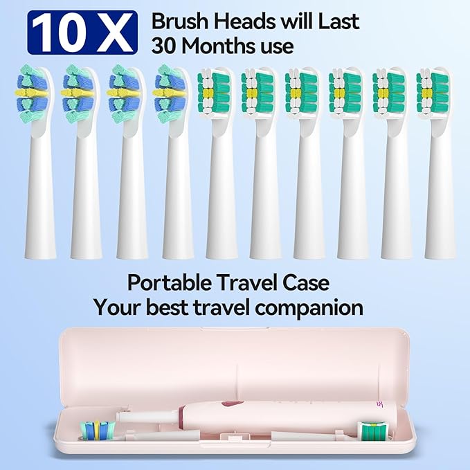 SEAGO Electric Toothbrush with 10 Brush Heads,Travel Toothbrush with Travel Case, Electric Tooth Brush with Smart Timer for Adults, Boys, and Girls,SG-2316(Pink)