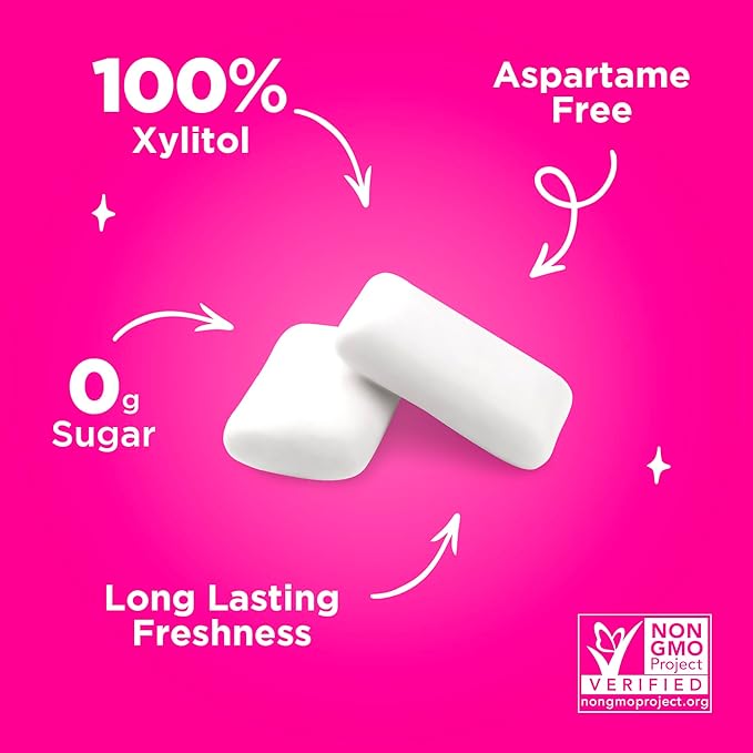 PUR Gum | Aspartame Free Chewing Gum | 100% Xylitol | Natural Pomegranate Mint Flavored Gum, 55 Pieces (Pack of 12)